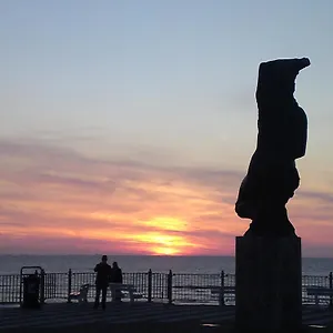 Flamingo , Zandvoort Nederland